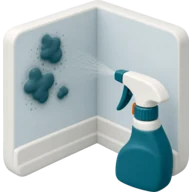 Обработка от плесени и грибка